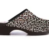 Moofs Panter