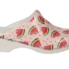 Sanita Model 314 Melon