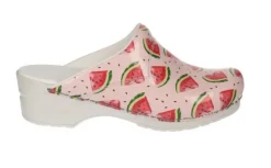 Sanita Model 314 Melon